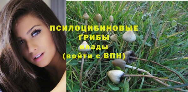 не бодяженный Беломорск