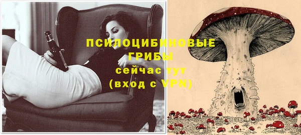 марки lsd Белокуриха