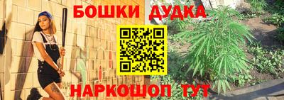 шишки Лесосибирск