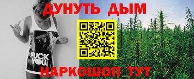 шишки Лесосибирск