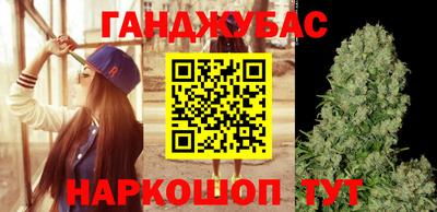 шишки Лесосибирск