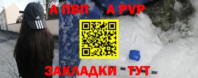 шишки Лесосибирск