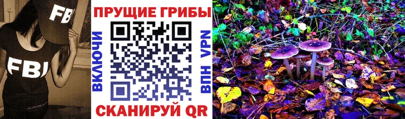 купить закладку  даркнет Telegram  Псилоцибиновые грибы Psilocybe  Соль-Илецк 