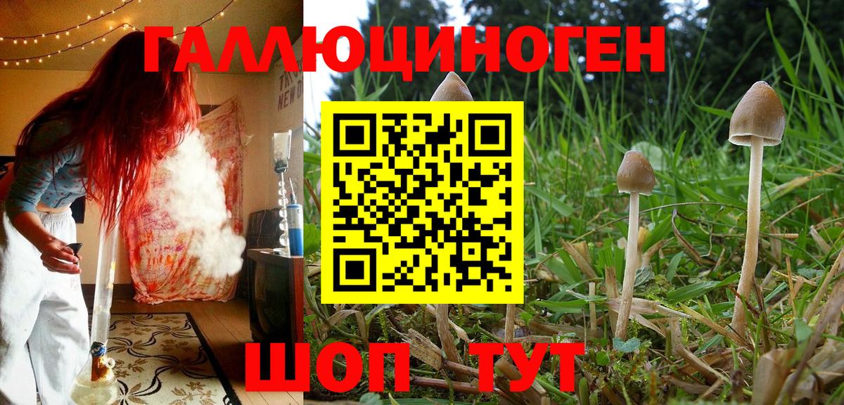 Галлюциногенные грибы GOLDEN TEACHER Соль-Илецк