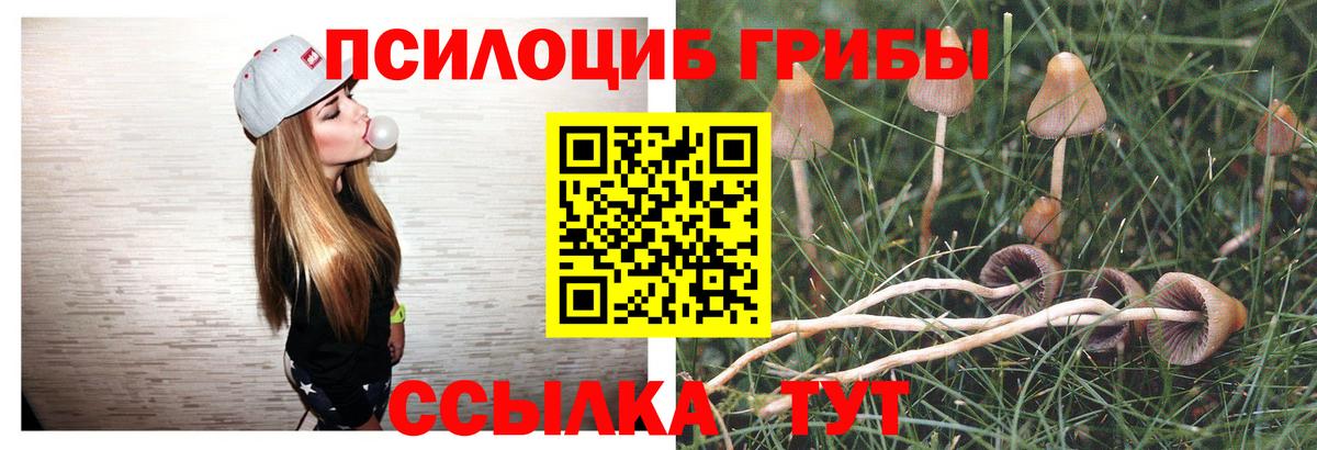 Псилоцибиновые грибы MAGIC MUSHROOMS  Псилоцибиновые грибы Psilocybe  Соль-Илецк  Вход с VPN 