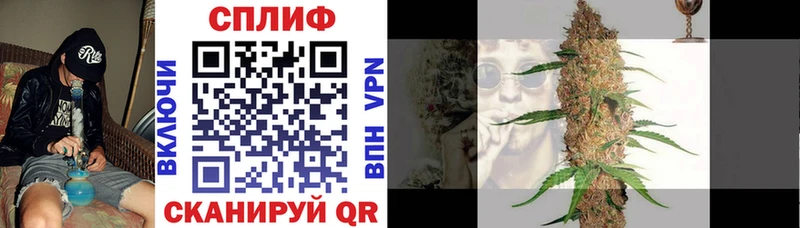 Бошки Шишки гибрид  Соль-Илецк 