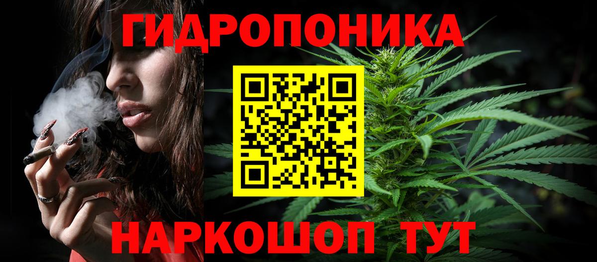 Каннабис AK-47  Канабис OG Kush  Бошки Шишки ГИДРОПОН  Вход с VPN  Соль-Илецк 